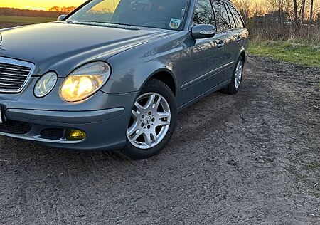 Mercedes-Benz 220 gebraucht kaufen Mercedes-Benz 220 W211 220cdi