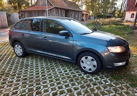 Skoda Rapid gebraucht kaufen Skoda Rapid 1.6 TDI 66kW Active Spaceback Active