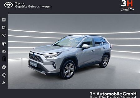 Toyota RAV 4 RAV4 Hybrid Team D*Navigation*Allwetter*