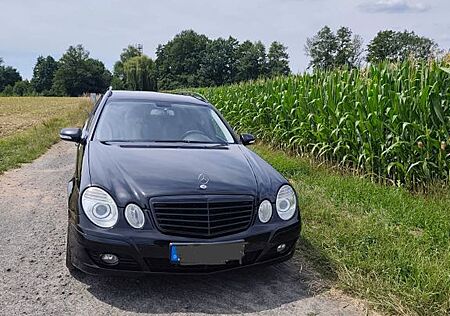 Mercedes-Benz E 220 gebraucht kaufen Mercedes-Benz E 220 CDI T ELEGANCE