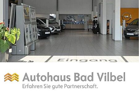 Opel Corsa Elektrik Navi/LED Matrix/PDC/RFK/3-phasen