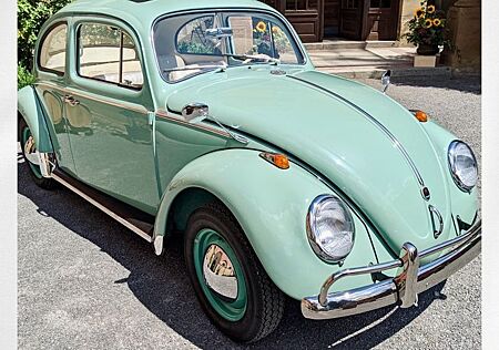 VW Käfer gebraucht kaufen VW Käfer Volkswagen