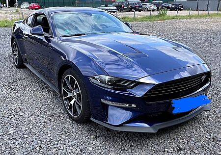 Ford Mustang 2.3 EcoBoost -55 Years Edition