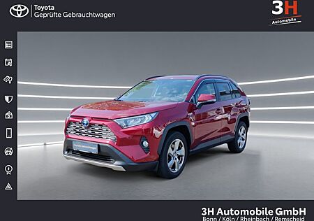 Toyota RAV 4 RAV4 Hybrid Team D*Allrad*Navigation*Leder*