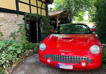 Ford Thunderbird V8 Cabrio Special Edition Unfallfrei