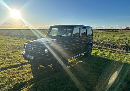 Mercedes-Benz G 350 d - Station WA