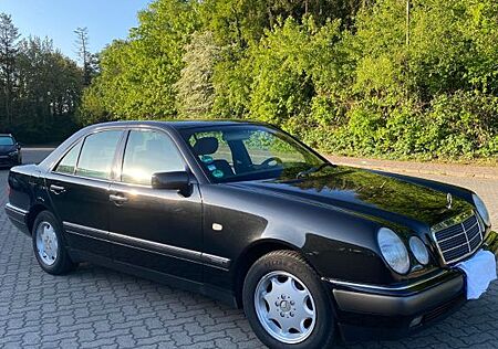 Mercedes-Benz 240 E240 Elegance