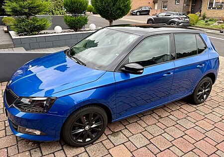 Skoda Fabia 1.4l TDI 66kW Style Style