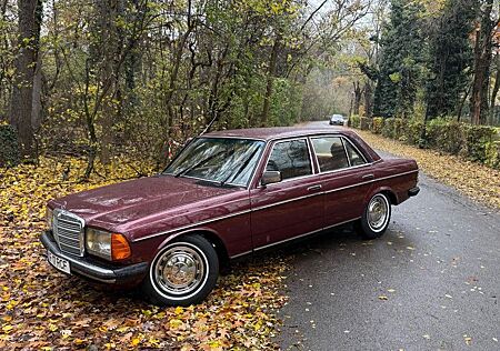 Mercedes-Benz 300 Diesel 12.500€