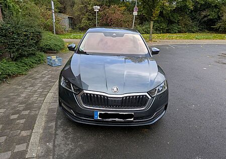 Skoda Octavia gebraucht kaufen Skoda Octavia 1.5 TSI FIRST EDITION FIRST EDITION