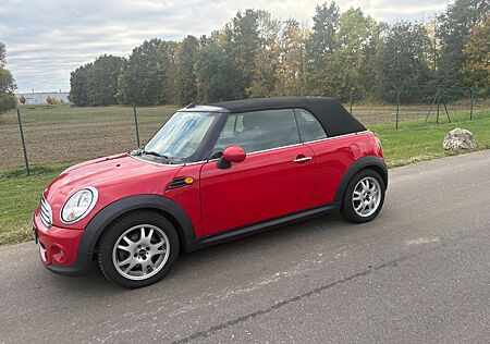 Mini Cooper Cabrio Highgate Highgate