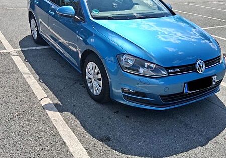 VW Golf Volkswagen 1.6 TDI BlueMotion Comfortline Variant ...