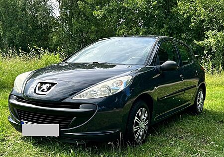 Peugeot 206 + (1.4 ,73PS)