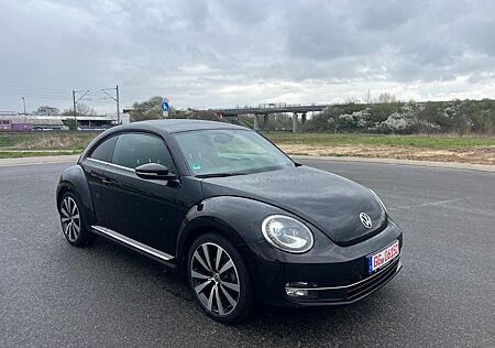 VW Beetle Volkswagen Exclusive Sport *KAMERA+LEDER+19"ZOLL*