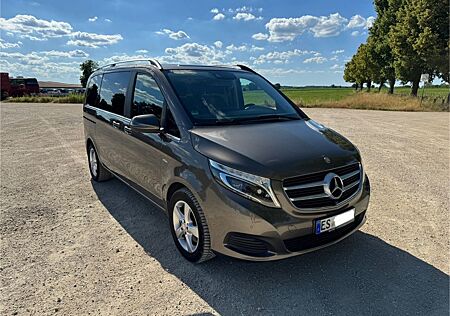 Mercedes-Benz V 250 V 250d kompakt 4M AHK Leder AVANTGARDE Voll