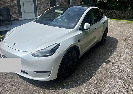Tesla Model Y Performance Dual Motor AWD Performance