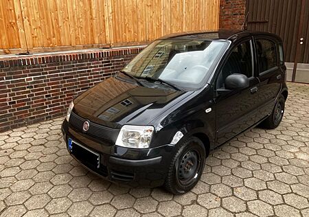 Fiat Panda 1.2 (169) mit Klimaautomatik