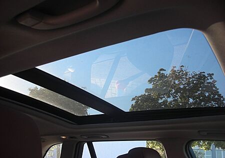BMW X5 xDrive35i 11750Netto Panorama