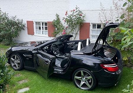Mercedes-Benz SLK 350 SLK350AMG (Ausstattung ab Werk) BlueEff Edition1