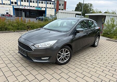 Ford Focus Zahnriemen/Zylinderkopfdichtung/Lagerschale NEU