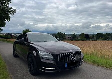Mercedes-Benz CLS 250 Shooting Brake CLS 250 CDI Shooting ...