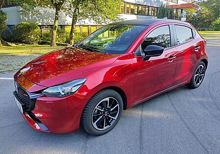 Mazda 2 SKYACTIV-G 90 Homura AKA , Automatik