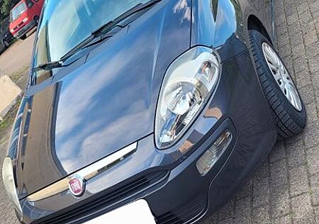 Fiat Punto EVO