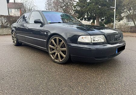 Audi A8 D2 4.2 quattro - Oldtimer TÜV 11/26