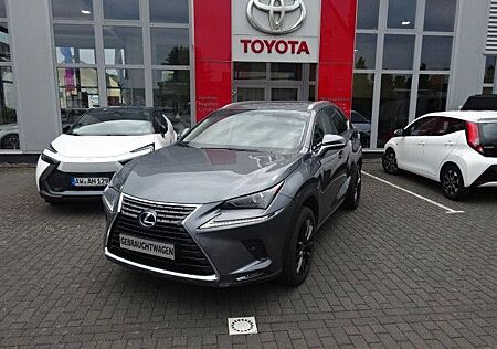 Lexus NX 300 NX 300h 2,5 Hybrid Business 4x4