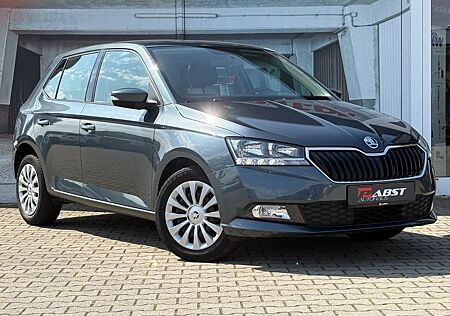 Skoda Fabia Cool & Sound DAB PDC SITZHEIZUNG