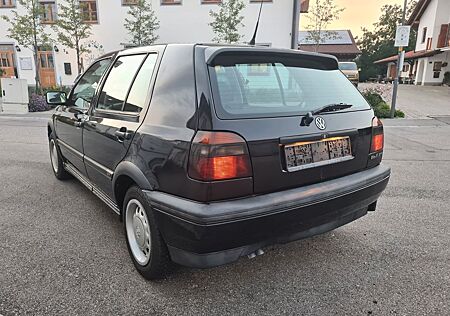 VW Golf Volkswagen 3 1.6 GT Special GT Klima Scheckh. Tüv neu