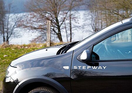 Dacia Sandero Stepway LPG Autogas Kamera 2020 1. Hand