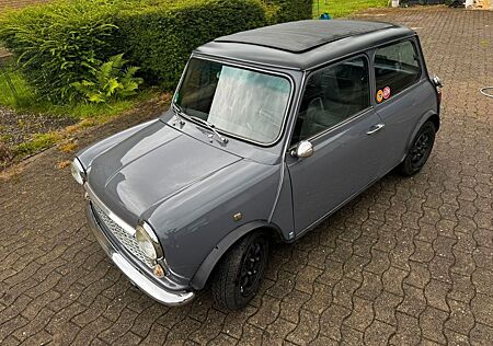 Rover Mini