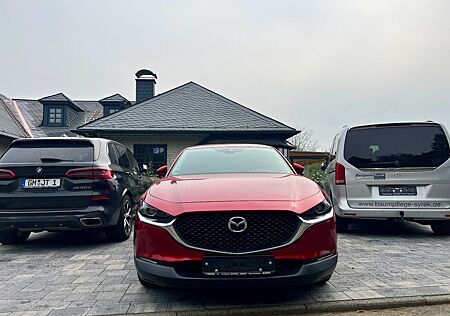 Mazda CX-3 CX-30 Selection 2WD Kamera Navigation 8-fach Alu