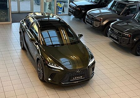 Lexus RX 450 + - LUXURY-PANO.-MARK LEV-360 CAM-67.190,-