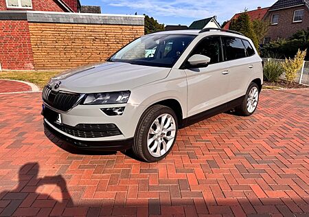 Skoda Karoq 2.0l TDI DSG 4x4 AHK Pano ACC