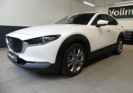 Mazda CX-30 Selection BOSE Matrix LED AWD