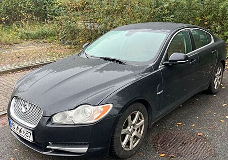 Jaguar XF gebraucht kaufen Jaguar XF 3.0 V6 155kW Diesel Luxury Luxury