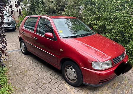 VW Polo Volkswagen 1.4 44kW Basis *Rentnerauto*