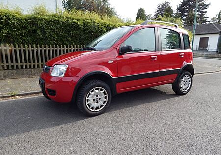 Fiat Panda 4x4 JTD Climbing