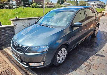 Skoda Rapid Spaceback 1.4 TDI DSG mit Hundegitter