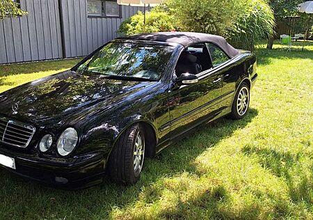 Mercedes-Benz CLK 430 ELEGANCE / V8 / HU 05/27 / GEPFLEGT
