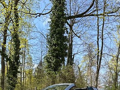 Smart ForTwo cabrio 1.0 passion - Servolenkung - Klima