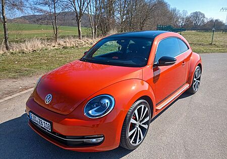 VW Beetle Volkswagen 1.4 TSI BMT CLUB CLUB