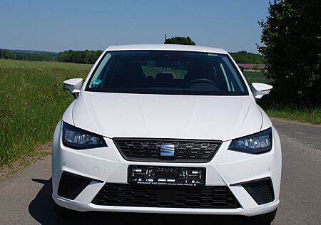 Seat Ibiza Style