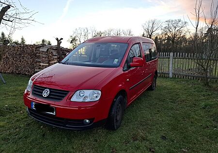 VW Caddy Volkswagen Maxi TDI 1.9 8 fach bereift