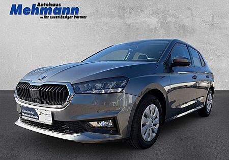 Skoda Fabia 1.0 TSI Ambition *SmartLink*ACC*PDC v.+h.