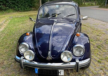 VW Käfer Volkswagen