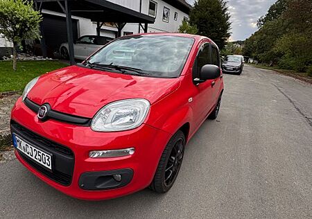 Fiat New Panda 1.2 8V MORE MORE