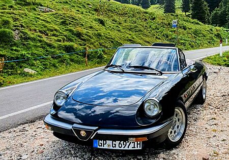 Alfa Romeo Spider